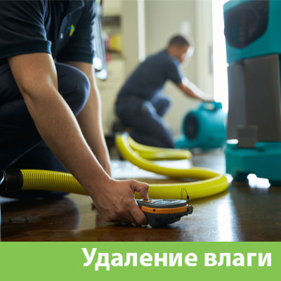 Удаление влаги после потопа в Ревде